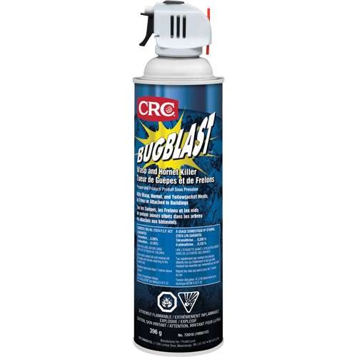 Insecticide Bug Blast, 397 g, &agrave; base de solvant GTA Hardware Inc