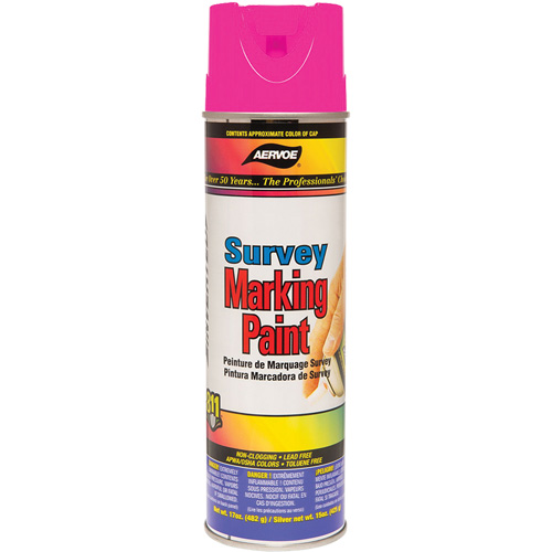 Peinture de marquage &agrave; base de solvant, 17 oz, Canette a&eacute;rosol GTA Hardware Inc