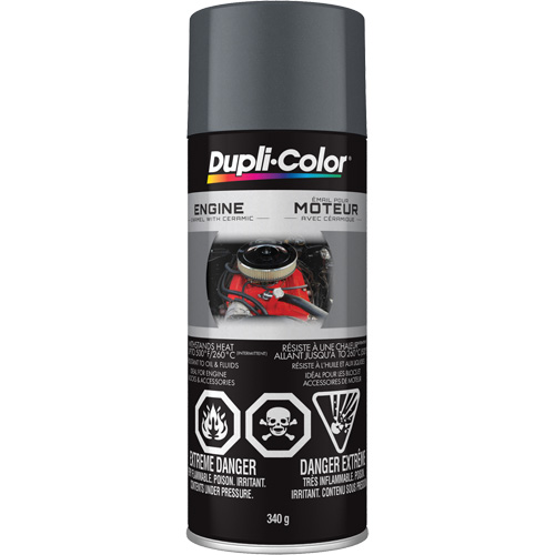 Engine Enamel Paint with Ceramic, Cast Iron Grey, High-Gloss, 12 oz., Aerosol Can GTA Hardware Inc