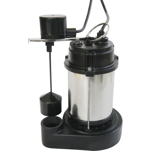 Pompe &agrave; boîtier en acier inoxydable et base en fonte, 1/3 CV, D&eacute;bit 3630 gal./h GTA Hardware Inc