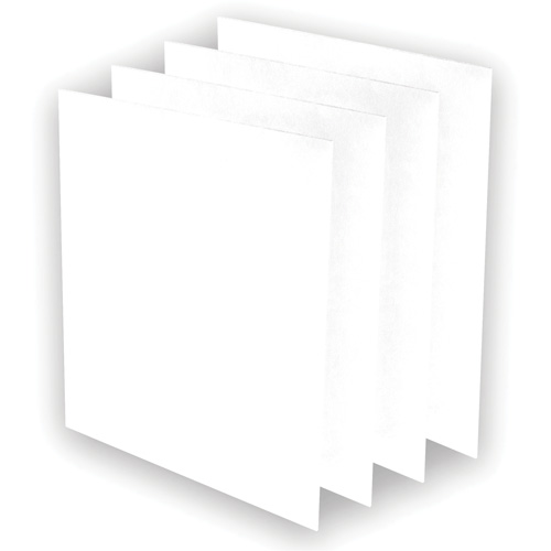 Pr&eacute;-filtres AeraMax Pro AM3 ou AM4, 13,75" la x 0,13" p x 14,38" h GTA Hardware Inc