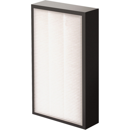 V&eacute;ritables filtre HEPA AeraMax Pro AM2 1-3/4", Boîte, 7,38" la x 1,88" p x 12,88" h GTA Hardware Inc