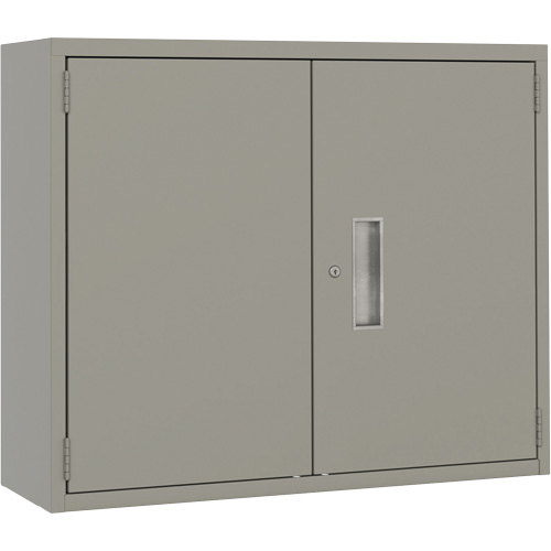 Armoire murale, Acier, 2 Tablettes, 30" h x 36" la x 12" P, Gris GTA Hardware Inc