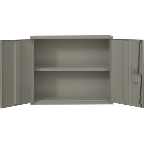 Armoire murale, Acier, 2 Tablettes, 30" h x 36" la x 12" P, Gris GTA Hardware Inc