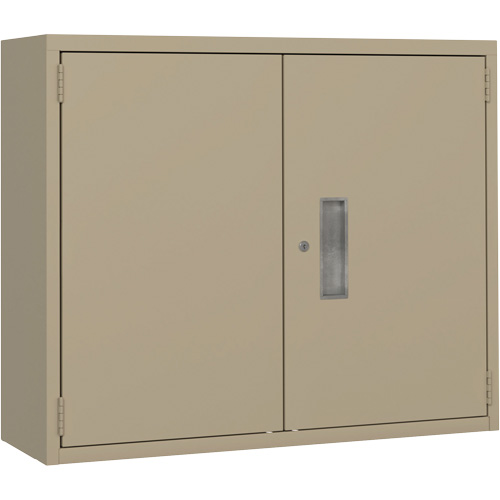 Armoire murale, Acier, 2 Tablettes, 30" h x 36" la x 12" P, Beige GTA Hardware Inc