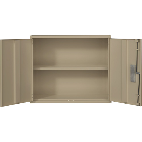 Armoire murale, Acier, 2 Tablettes, 30" h x 36" la x 12" P, Beige GTA Hardware Inc