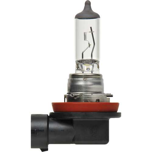 H8 Basic Headlight Bulb, Halogen, 35 W, Off White GTA Hardware Inc