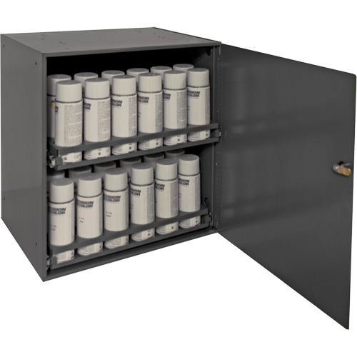 Aerosol Storage Cabinet, Steel, 21-7/8" H x 15-15/16" W x 20-5/16" D, Grey GTA Hardware Inc