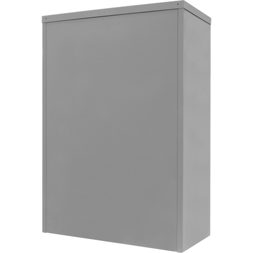 Armoire de rangement &agrave; hauteur de comptoir, Acier, 2 Tablettes, 42" h x 36" la x 24" P, Gris GTA Hardware Inc