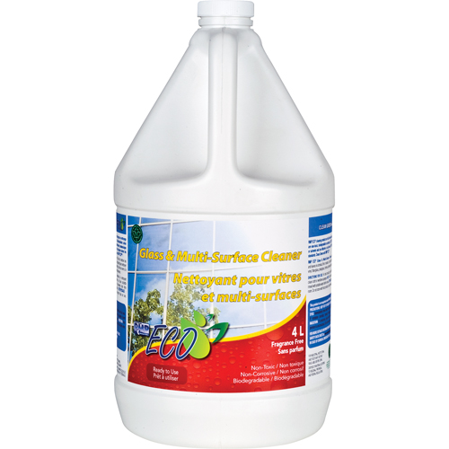 Nettoyant pour vitres & pour toutes surfaces, 4 L, Cruche GTA Hardware Inc