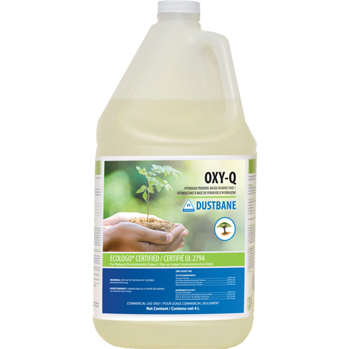 D&eacute;sinfectant &agrave; base de peroxyde d'hydrog&egrave;ne, 4 L, Cruche GTA Hardware Inc