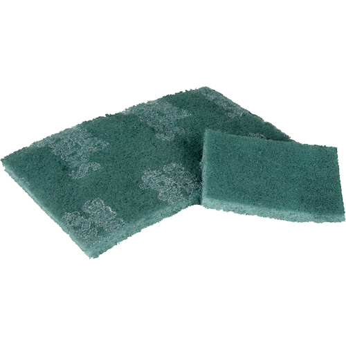 Tampon de r&eacute;curage, 3" lo x 4-1/2" la GTA Hardware Inc