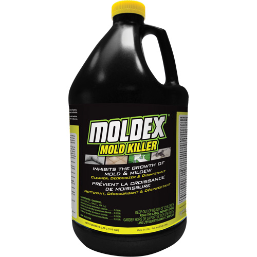 Moldex&reg; Mold Killer, 3.78 L, Jug GTA Hardware Inc