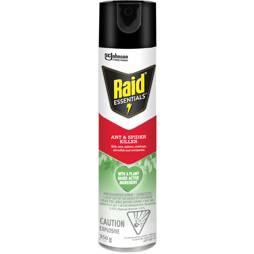 Insecticide pour araign&eacute;es et fourmis Essentials Raid, 350 g, Canette a&eacute;rosol GTA Hardware Inc