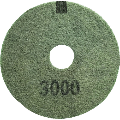 Tampon pour planchers, grain 3000, 20", &agrave; r&eacute;curer/D&eacute;capant, Noir GTA Hardware Inc