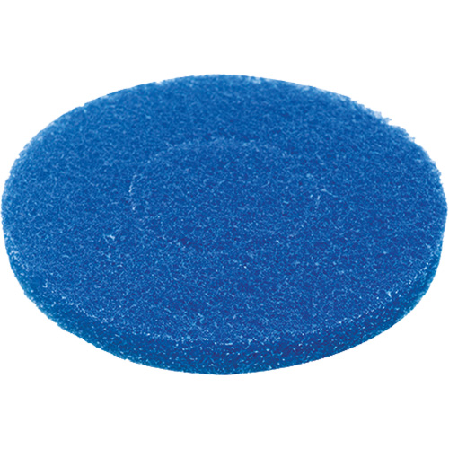 Floor Pad, Cleaning, Blue GTA Hardware Inc