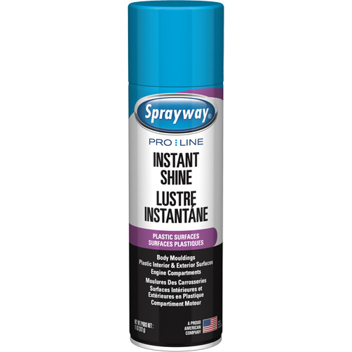 Brillant instantan&eacute; Pro Line pour surfaces en plastique, 11 oz, Canette a&eacute;rosol GTA Hardware Inc