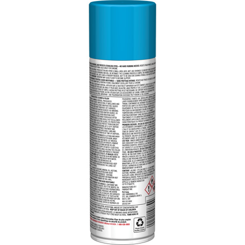 Nettoyant & polis pour acier inoxydable Pro Line, 15 oz, Canette a&eacute;rosol GTA Hardware Inc