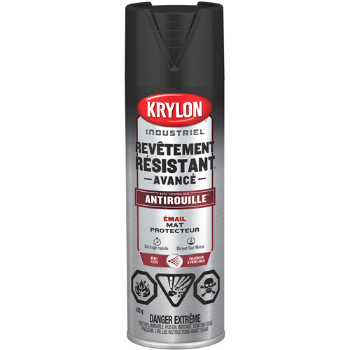 Tough Coat&reg; Advanced Paint with Rust Barrier Technology, Black, Flat, 425 g, Aerosol Can GTA Hardware Inc