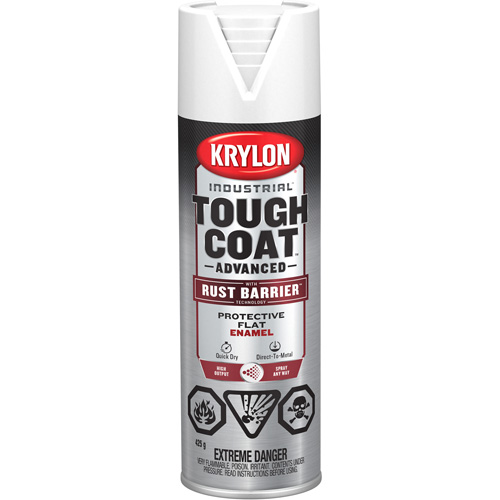 Tough Coat&reg; Advanced Paint with Rust Barrier Technology, White, Flat Finish, 425 g, Aerosol Can GTA Hardware Inc