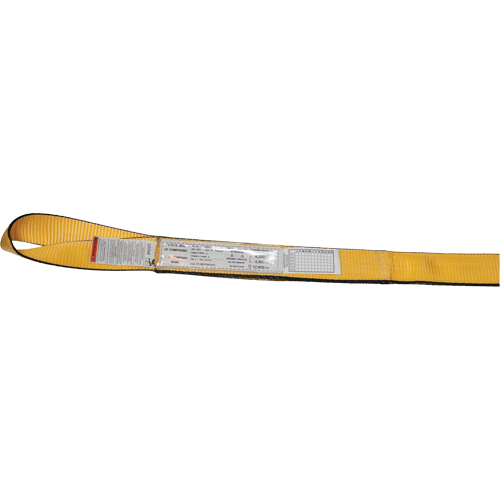 &eacute;lingue en sangle de polyester, Pli Double, Oeillets renvers&eacute;s, Type 4, 6" la x 12' lo, Capacit&eacute; verticale 16 500 lb GTA Hardware Inc