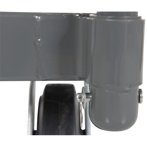 Platform Truck, 48" L x 24" W, 2000 lbs. Capacity, Rubber Casters GTA Hardware Inc