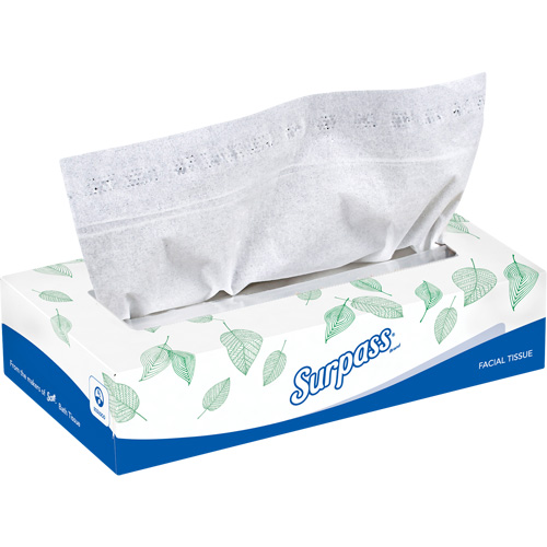 Surpass&reg; Facial Tissue, 2 Ply, 8.3" L x 7.8" W, 100 Sheets/Box GTA Hardware Inc