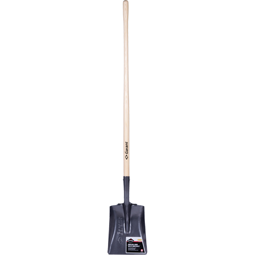 Pelle carr&eacute;e  Pro, Bois, Lame Acier durci, Manche en Droit, Longueur 48" GTA Hardware Inc