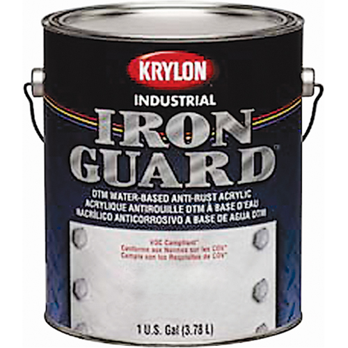 &eacute;mail industriel &agrave; base d'eau Iron Guard, Canette, Gris GTA Hardware Inc