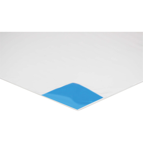 Clean Room Mat GTA Hardware Inc