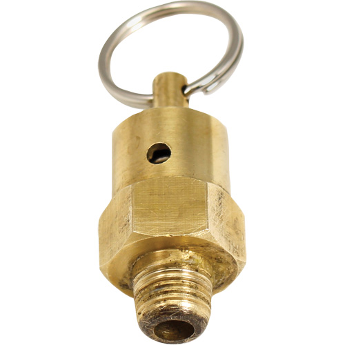 Viton&reg; Pressure Relief Valve GTA Hardware Inc