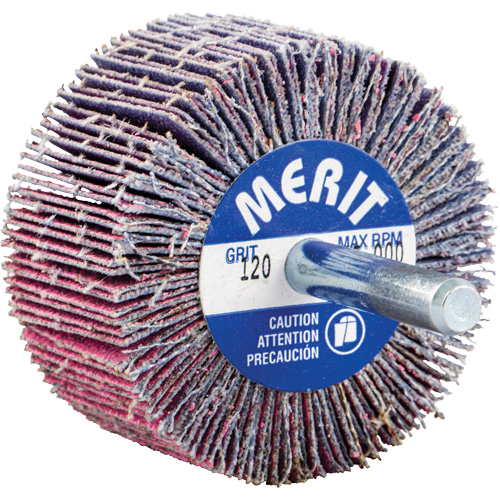 Mini-meule &agrave; lamelles mont&eacute;e sur tige, C&eacute;ramique d'alumine, Grain 120, 2" x 1" x 1/4" GTA Hardware Inc