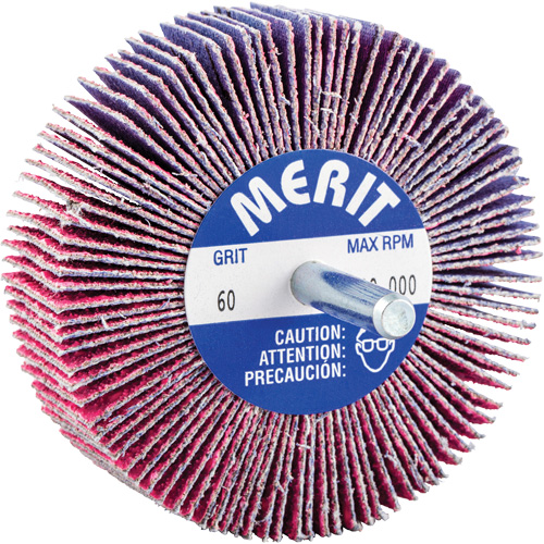 Mini-meule &agrave; lamelles mont&eacute;e sur tige, C&eacute;ramique d'alumine, Grain 60, 3" x 1" x 1/4" GTA Hardware Inc