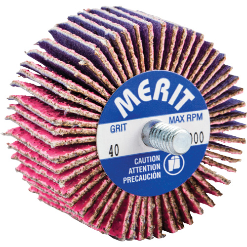 Mini-meule &agrave; lamelles filet&eacute;es, C&eacute;ramique d'alumine, Grain 40, 2" x 1" x 1/4"-20 GTA Hardware Inc