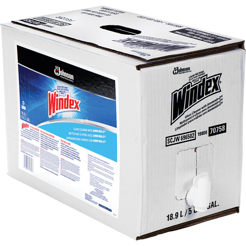 Nettoyant pour vitres Windex avec Ammoniac-D, 5 gal., Sac GTA Hardware Inc