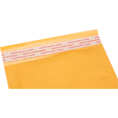 Enveloppes postales coussin&eacute;es, Kraft, 6" la x 10" lo GTA Hardware Inc
