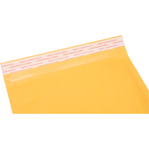Enveloppes postales coussin&eacute;es, Kraft, 8-1/2" la x 14-1/4" lo GTA Hardware Inc