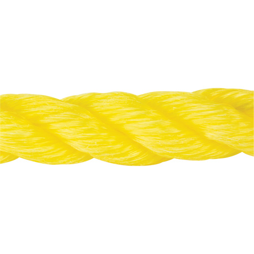 Corde jaune tress&eacute;e, Polypropyl&egrave;ne, 300' GTA Hardware Inc