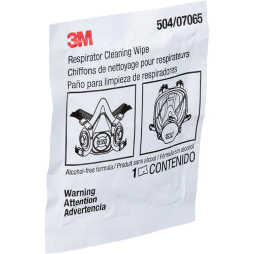 Respirator Cleaning Wipes, Wipes GTA Hardware Inc
