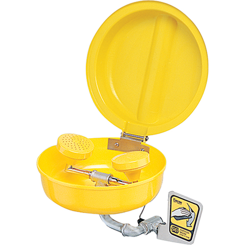 Eye/Face wash With Cover, Wall-Mount Installation, Plastic Bowl GTA Hardware Inc