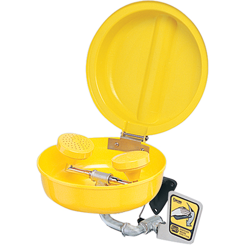 Eye/Face Wash With Cover, Pedestal Installation, Plastic Bowl GTA Hardware Inc