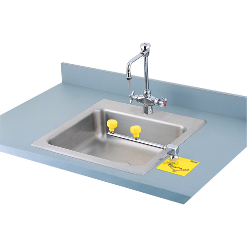 Swing-Away Eyewash Station, Counter-Mount Installation GTA Hardware Inc