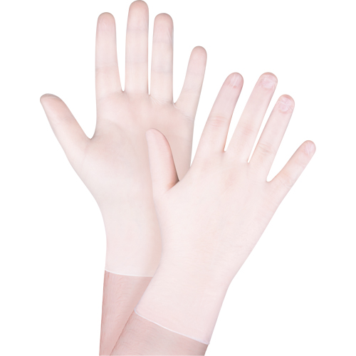 Disposable Gloves, X-Small, Vinyl, 4-mil, Powder-Free, White GTA Hardware Inc