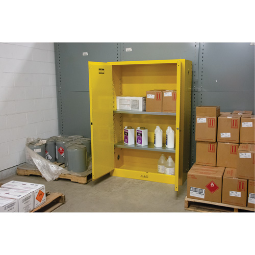 Armoire pour produits inflammables, 45 gal., 2 Porte(s), 43" La x 65" h x 18" p GTA Hardware Inc