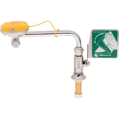 Axion&reg; Eye/Face Wash Station, Sink Mount Installation GTA Hardware Inc