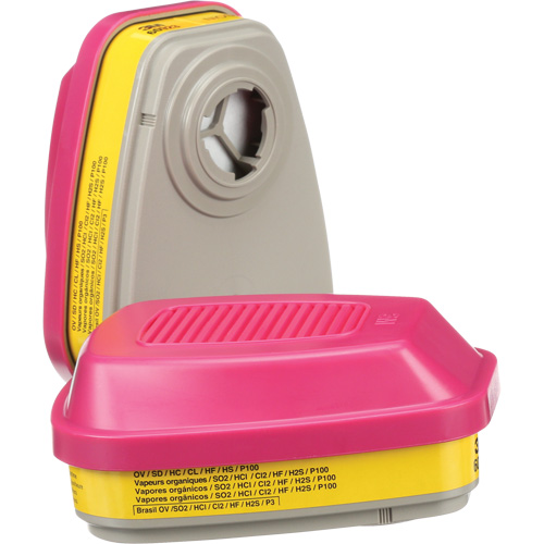 Cartouches pour respirateur s&eacute;rie 6000, Cartouche gaz/vapeur, Vapeurs organiques/Gaz acides/P100 GTA Hardware Inc