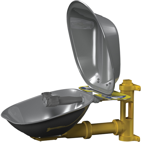 Poste de douche oculaire Halo, Installation Montage mural, Bol Acier inoxydable GTA Hardware Inc