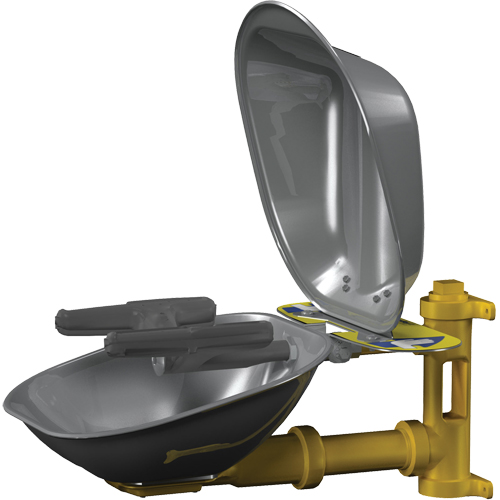 Halo Face/Eyewash Stations, Wall-Mount Installation, Stainless Steel Bowl GTA Hardware Inc