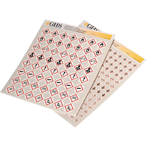 GHS Hazard Pictogram Label Variety Packs, Vinyl, Sheet, 1/2" L x 1/2" W GTA Hardware Inc