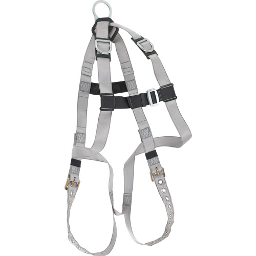 Harnais &eacute;conomique de conformit&eacute; B Dynamic, Certifi&eacute;e CSA, Classe AE, Cap. 310 lb GTA Hardware Inc